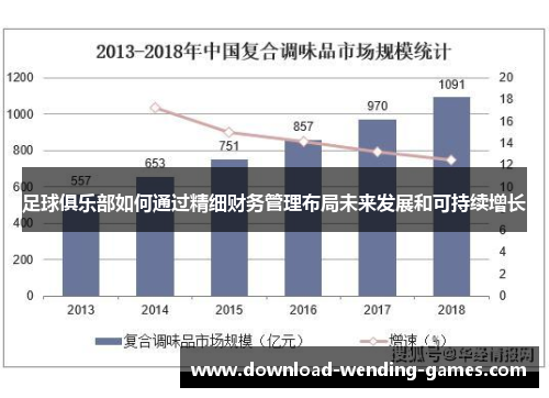 足球俱乐部如何通过精细财务管理布局未来发展和可持续增长